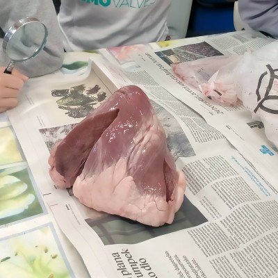 IMG20251016094053 (1).jpg