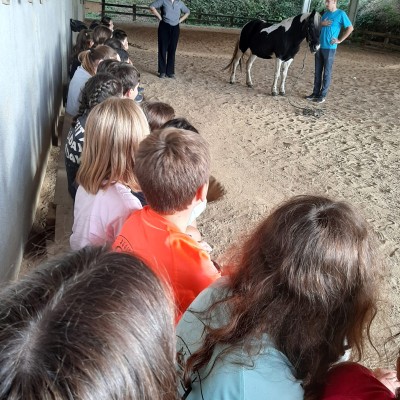 PHOTO-2025-10-13-18-17-00 (1).jpg