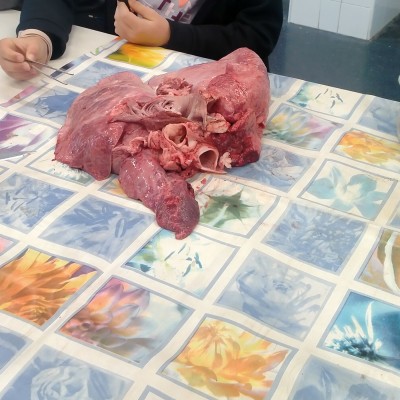 IMG20251016094042 (1).jpg